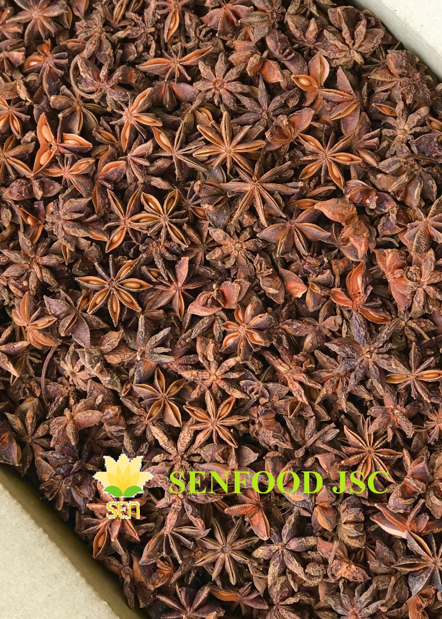 Spices - AUTUMN STAR ANISE FROM VIETNAM Good price New crop