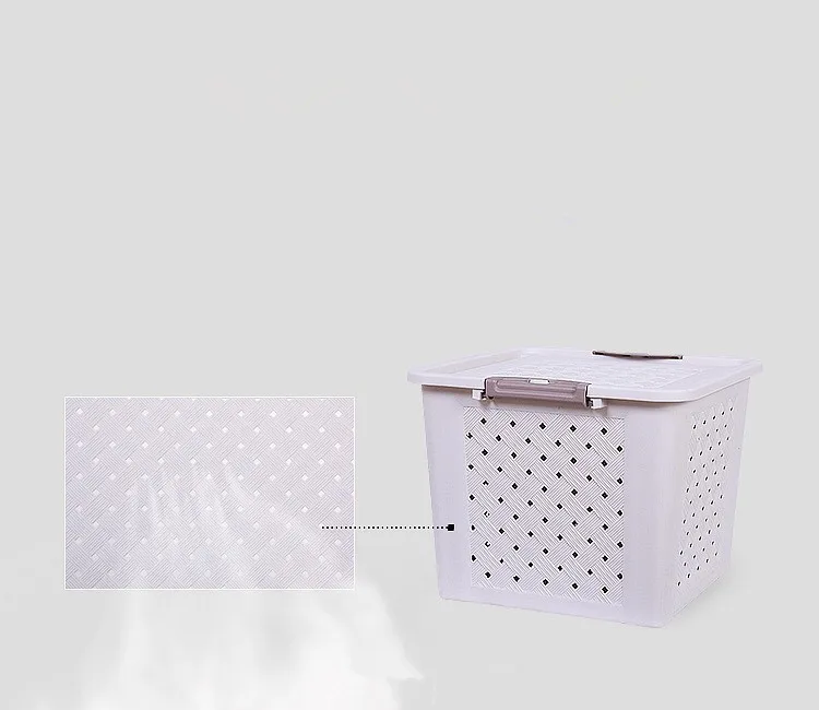 Eco-friendly PP Picnic Plastic Living Storage Box Basket with Lid Animal Transport Storage Package Basket