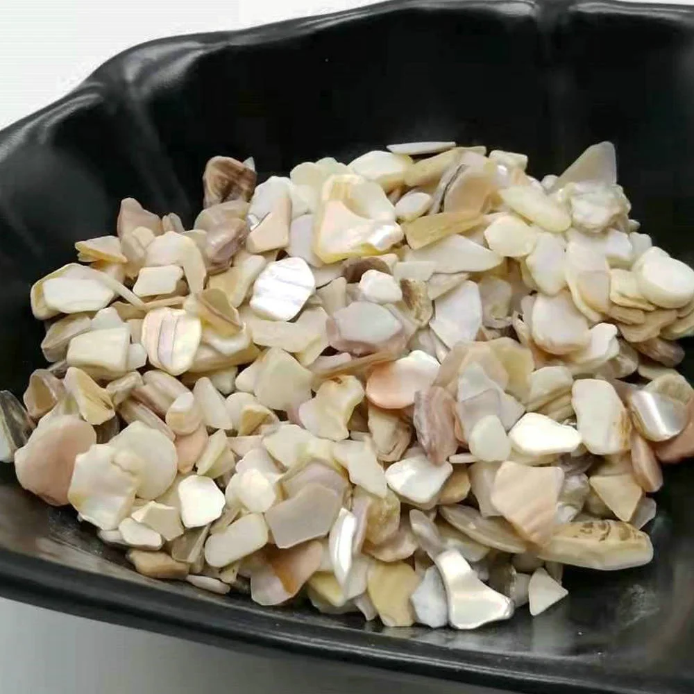 wholesale natural 4-10mm polished broken shell chips for terrazzo bulk mother of pearl shell aggregates for decoration