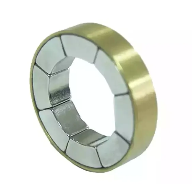 Halbach Array Magnet 5.jpg