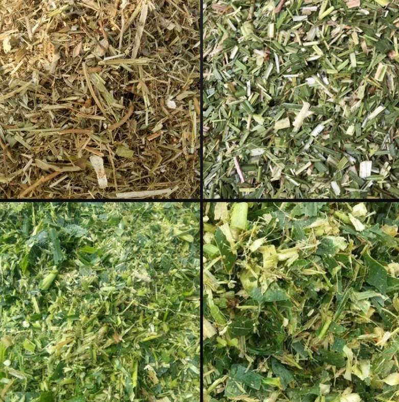 Wet and dry grass cut single phase chaff cutter corn straw chop sheep and chicken multi-purpose breeding hay cutter