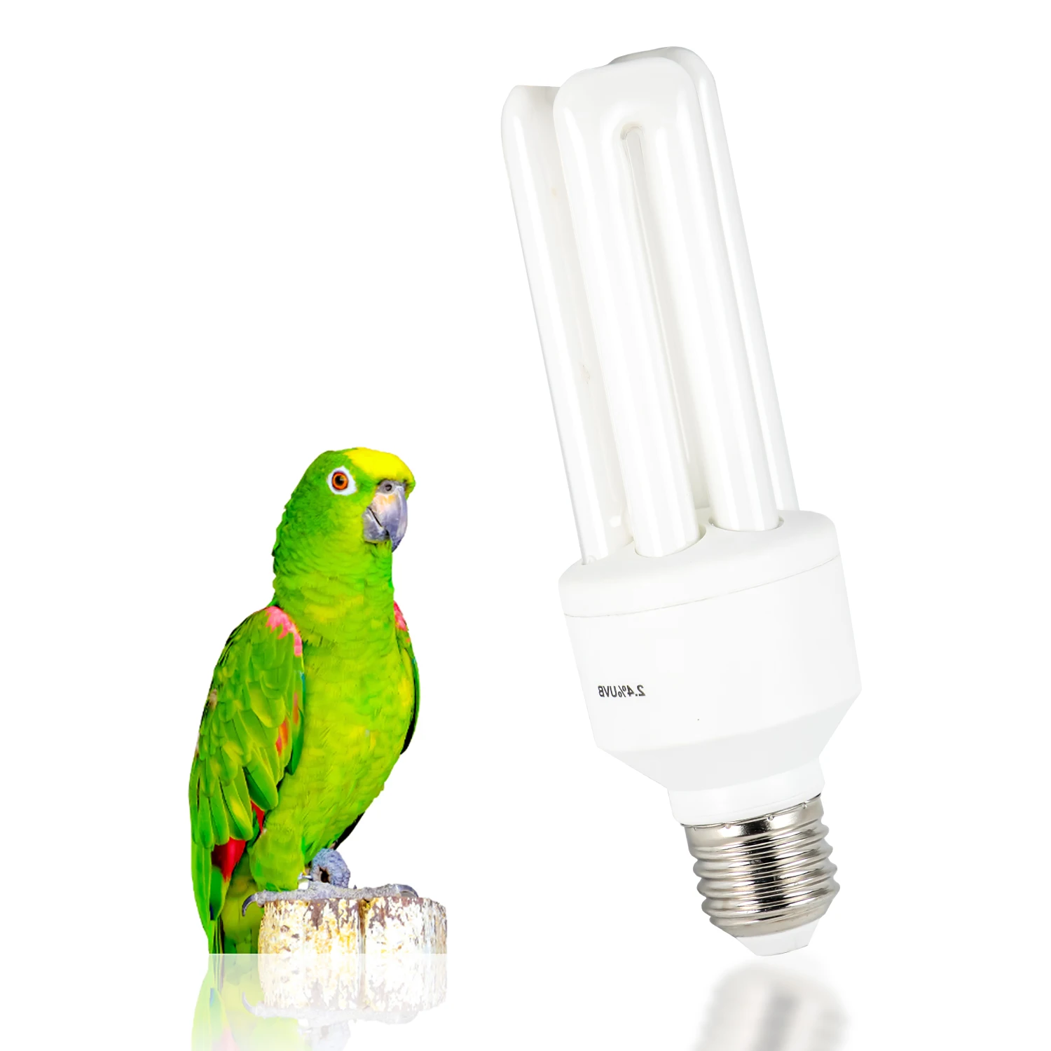 full spectrum canary bird lamp lighting bulb Parrots and Parakeets birds cages