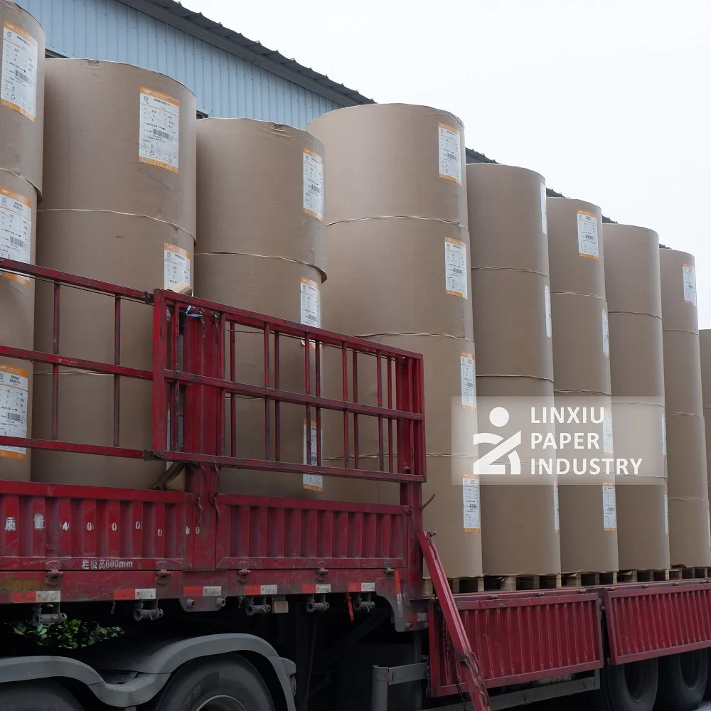High strength 280 gsm double PE coated paper roll for sturdy paper cups and lunch boxes