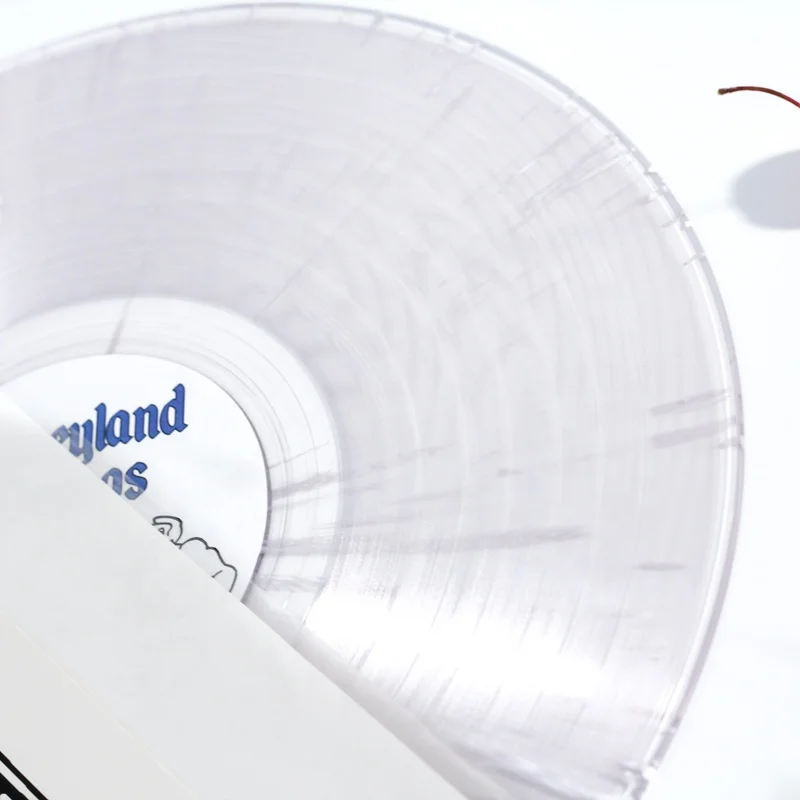 12 Inch Black Vinyl Records LP Pressing Vinyl Record Pressing