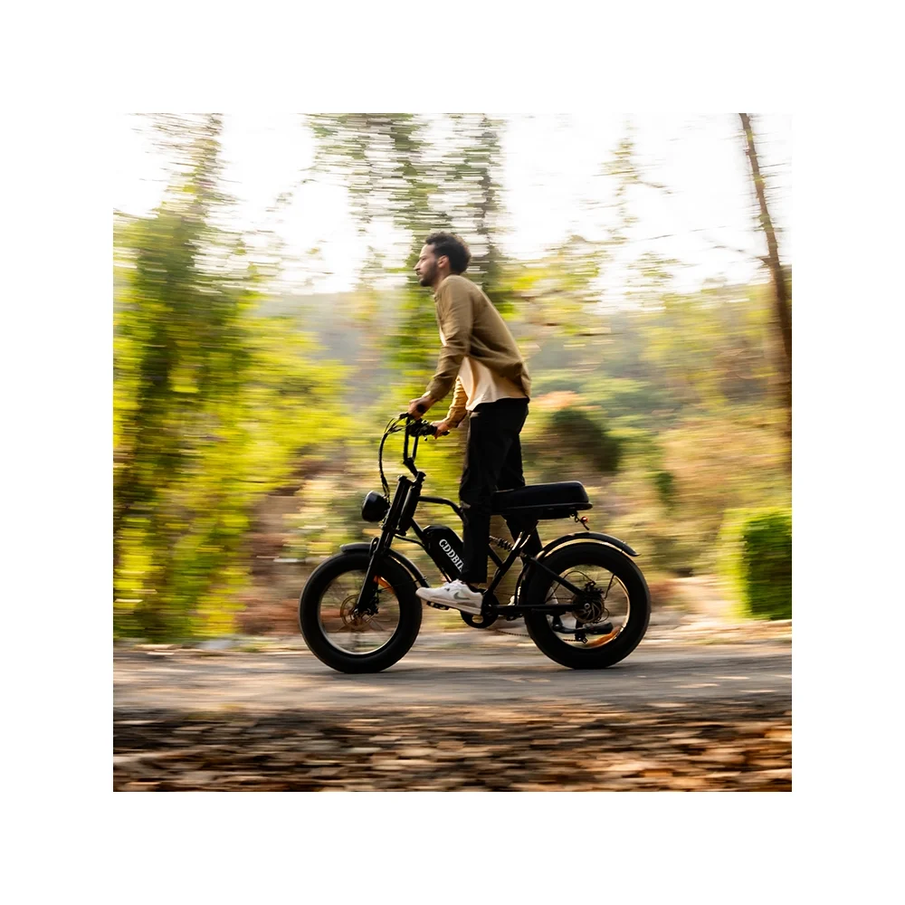 Надежный Электрический велосипед 48 В с цветным ЖК-дисплеем 15ah литиевая батарея 1000 Вт для взрослых