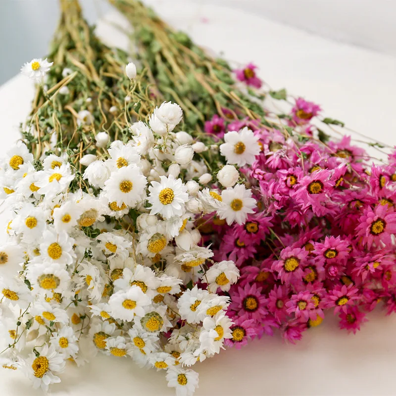 Дешевые Натуральные сушеные цветы прессованные Rhodanthe Manglesii для подарка