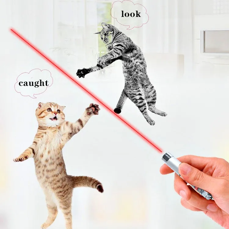LED Light Torch Laser Pointer Infrared Laser Cat Laser Toy