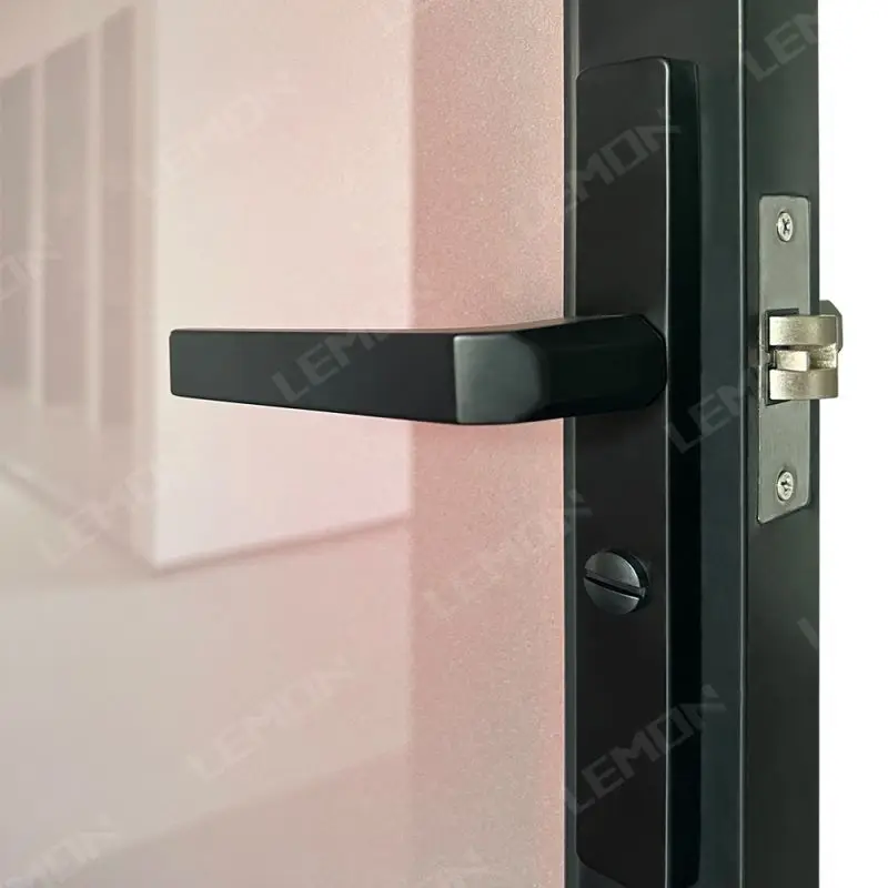 New Commercial Home Alu-framed Hinged Swing Door With Frosted Glass