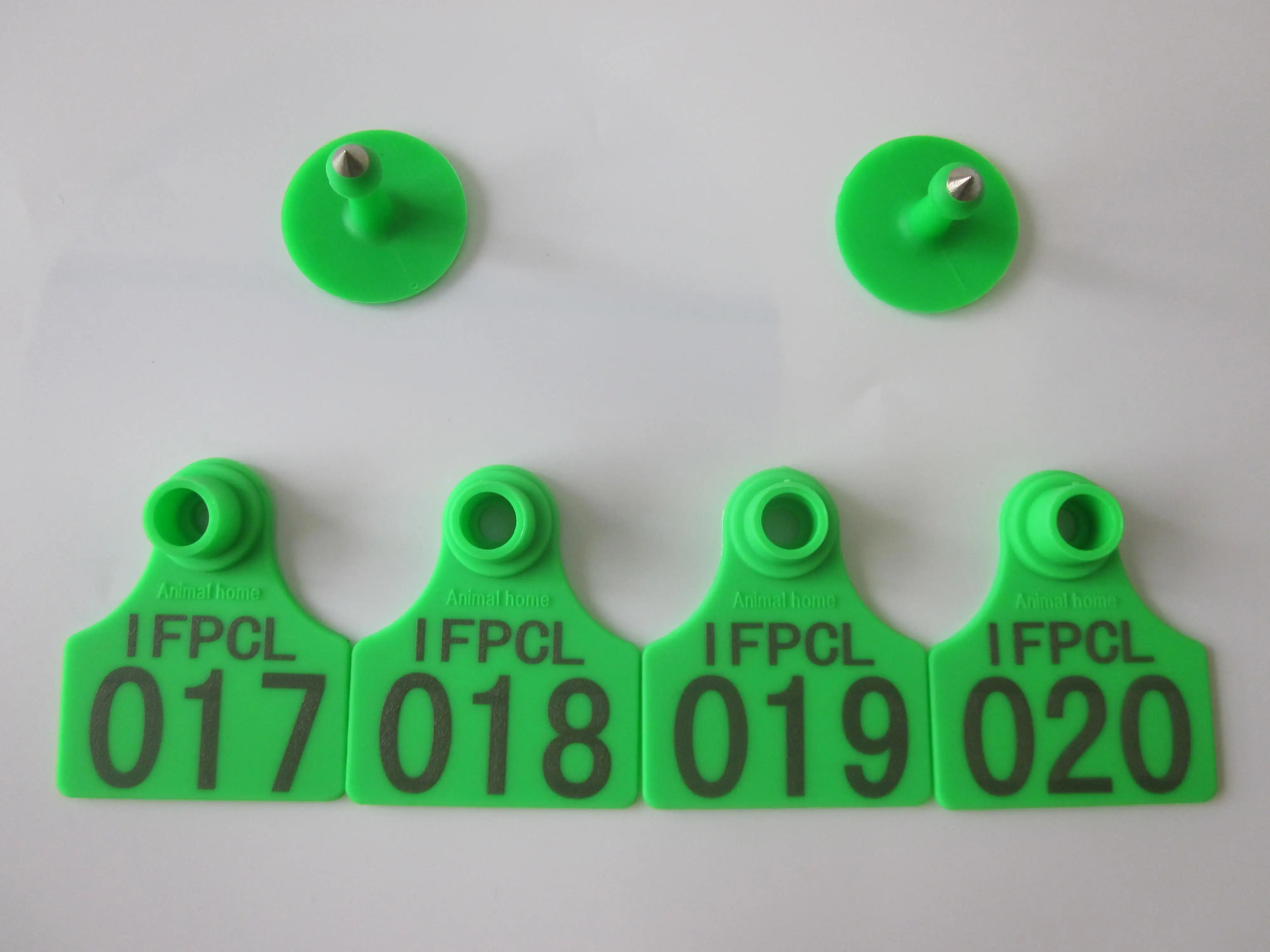 Animal Cattle Ear Tag for Animal Management