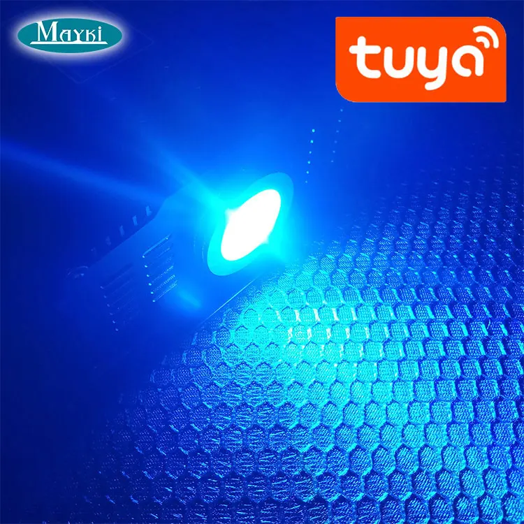 Tuya wifi smart home app compatible google amzn led fiber optic light tuya light engine