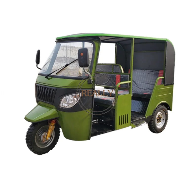 Auto Adult Electric Tricycle Gas Powered Motor Tricycle Tuk Tuk with Rooff