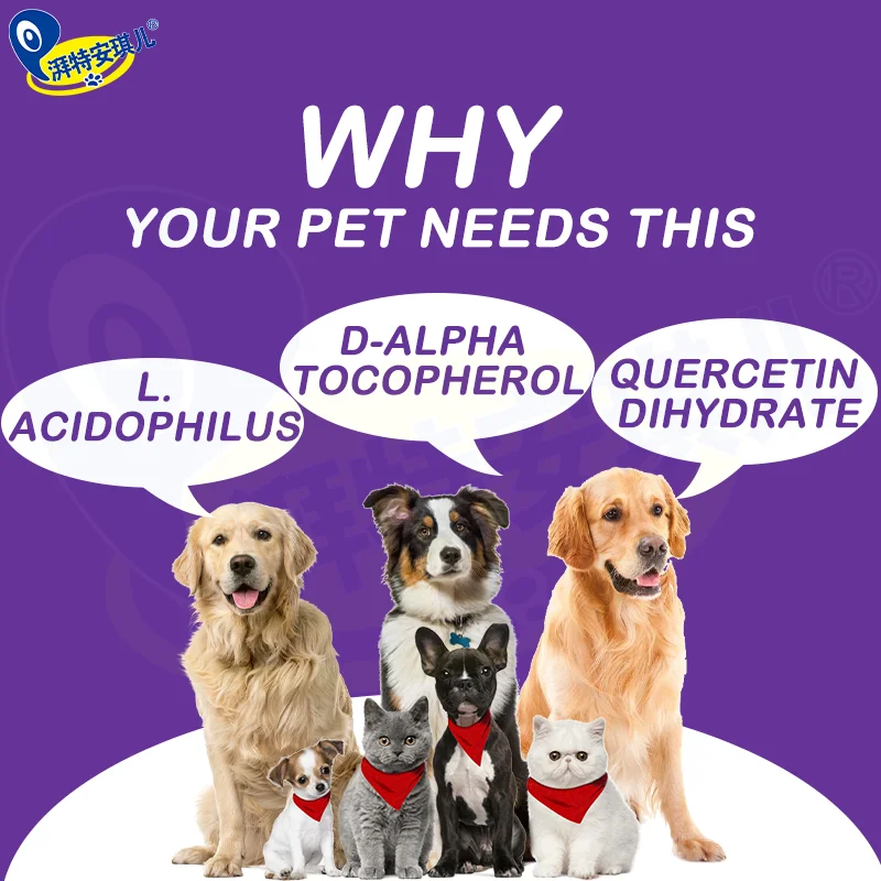 OEM N in 1 Pet Nutrit Hight Protein Training Gain Supplement Dog Chew Food Soft Snacks Muscle Vitamins