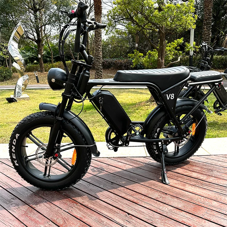 20 Inch 750w Fat Bike E-Bike Ebike V8 Fat Tyre E Bike Fatbike Electric Bike Fat Tire Wheel Bicycle