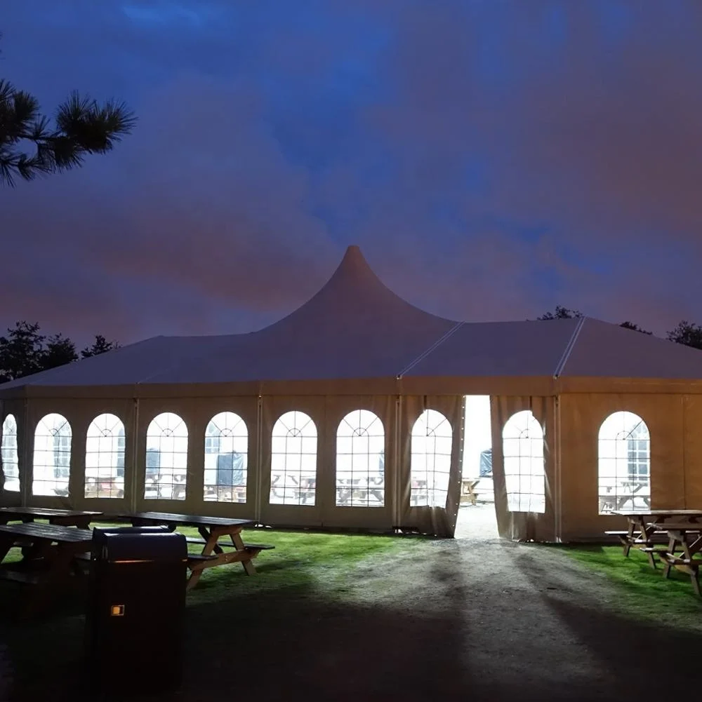 Hot sale New Design Wedding Party Tent
