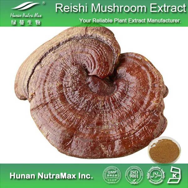 Reishi Mushroom Shell-broken Spore Powder 98% Wall-breaking
