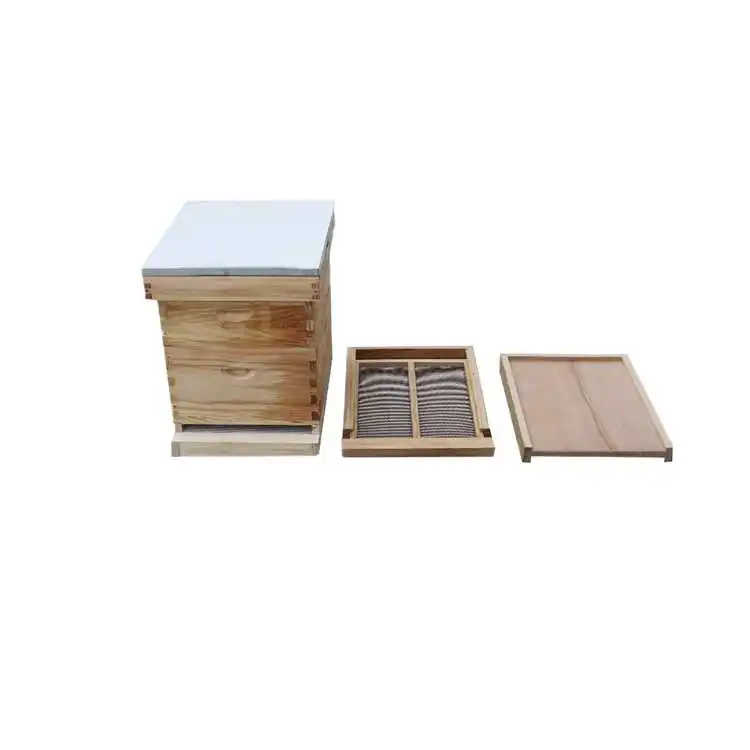 Wood Bee Hive with Frame for Beekeeping Equipment Double Full Depth Beehive