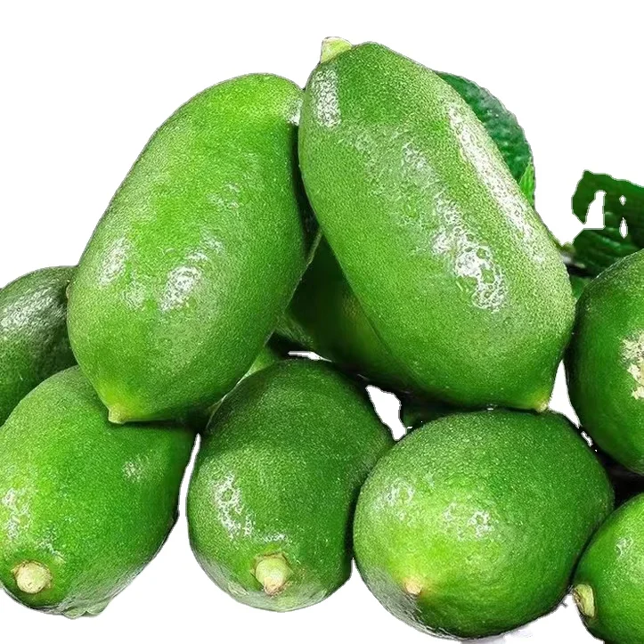 China export high quality fresh seedless lemon fresh lime