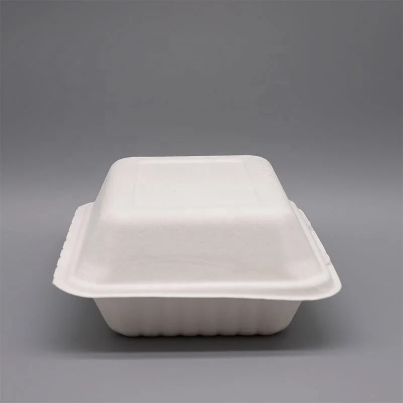 wholesale compostable sugarcane takeaway lunch box bagasse disposable biodegradable clamshell food container