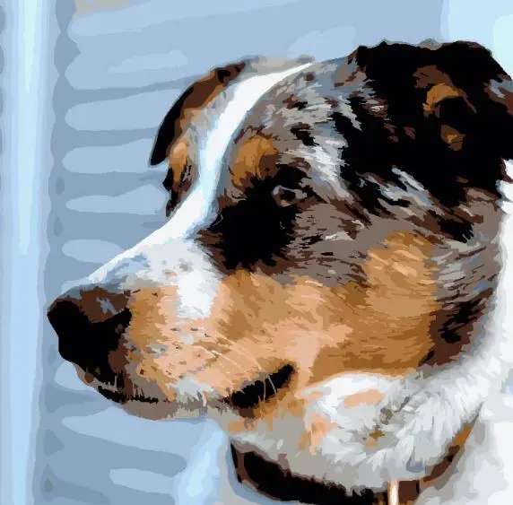 
Dropshipping Digital custom paintings personalization of pet photos living room photos decorations photo gifts 