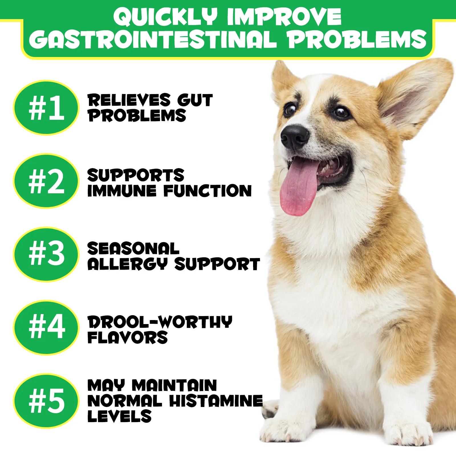 OEM Private Label Pet Nutritional Pre and Probiotics Chews Gut Health Supplement for Dogs Skin and Coat Allergy Immune