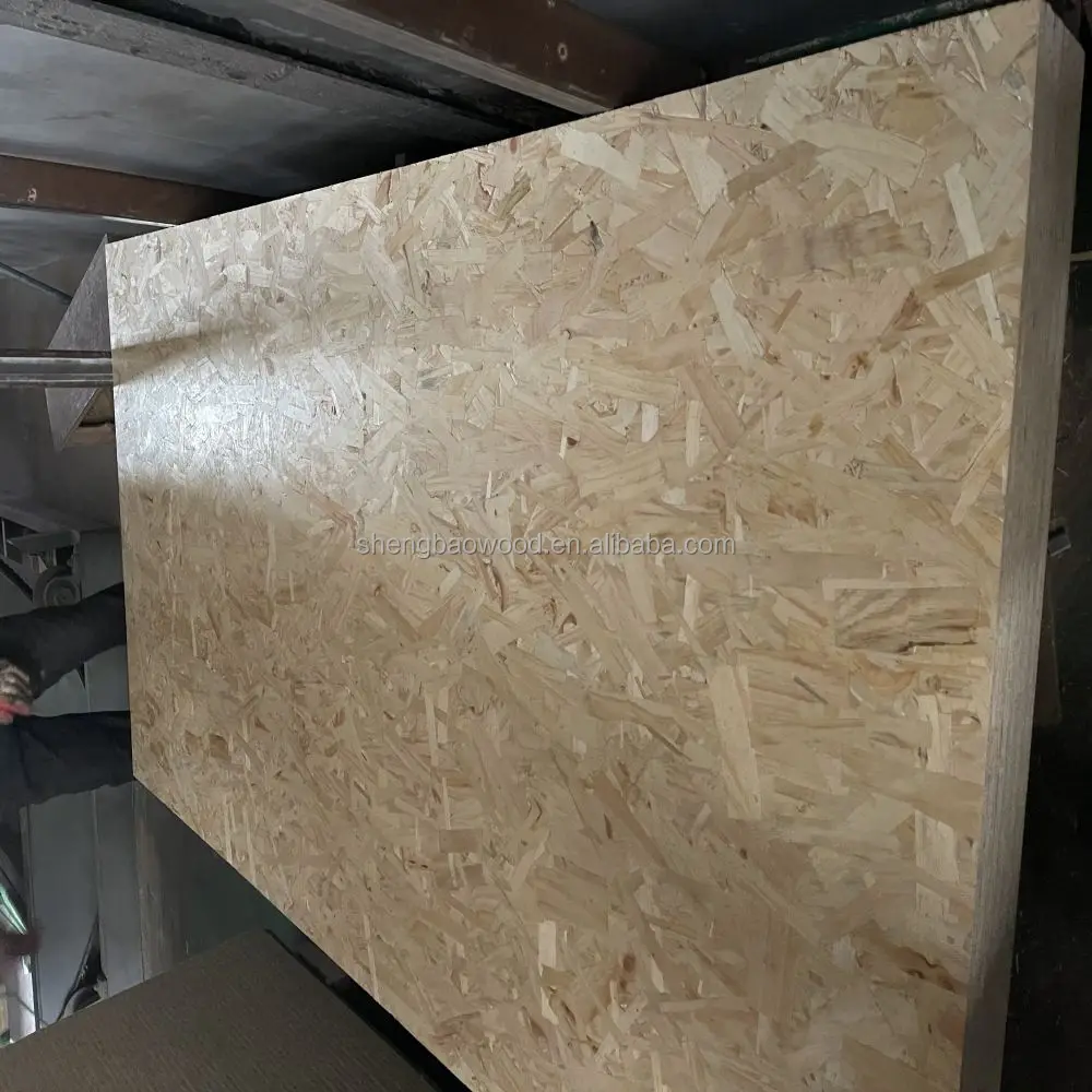 
OSB Manufacturer Hot Sale groove E0 9mm 11mm 15mm 18mm OSB 