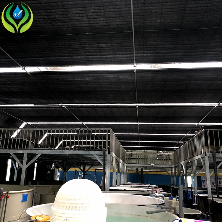 MYXL aquaponics fish farms tanks greenhouse hydroponics aquaponics growing system fish tank for fish and vegetable