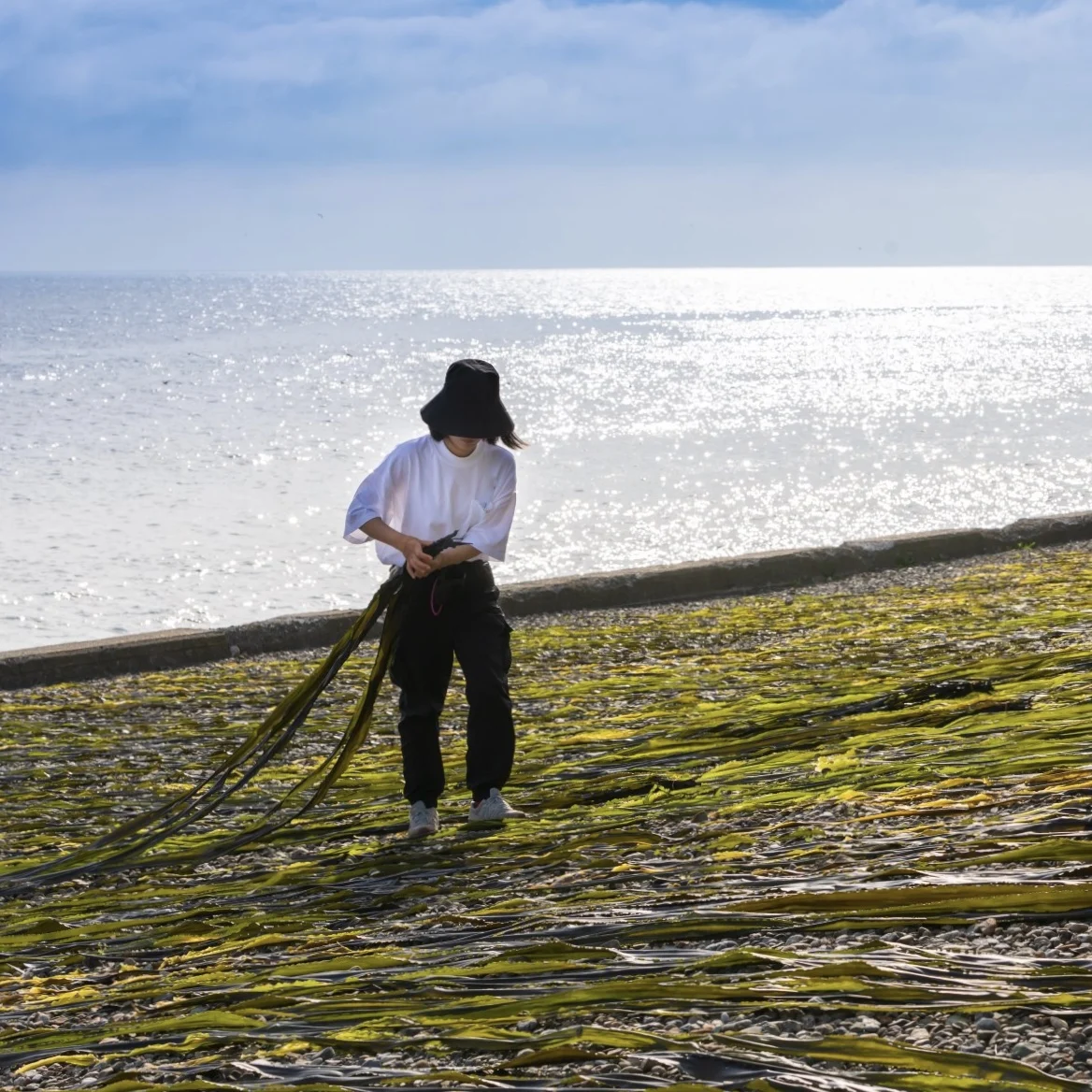 High quality no additive dashi seafood kelp dried laminaria for miso soup