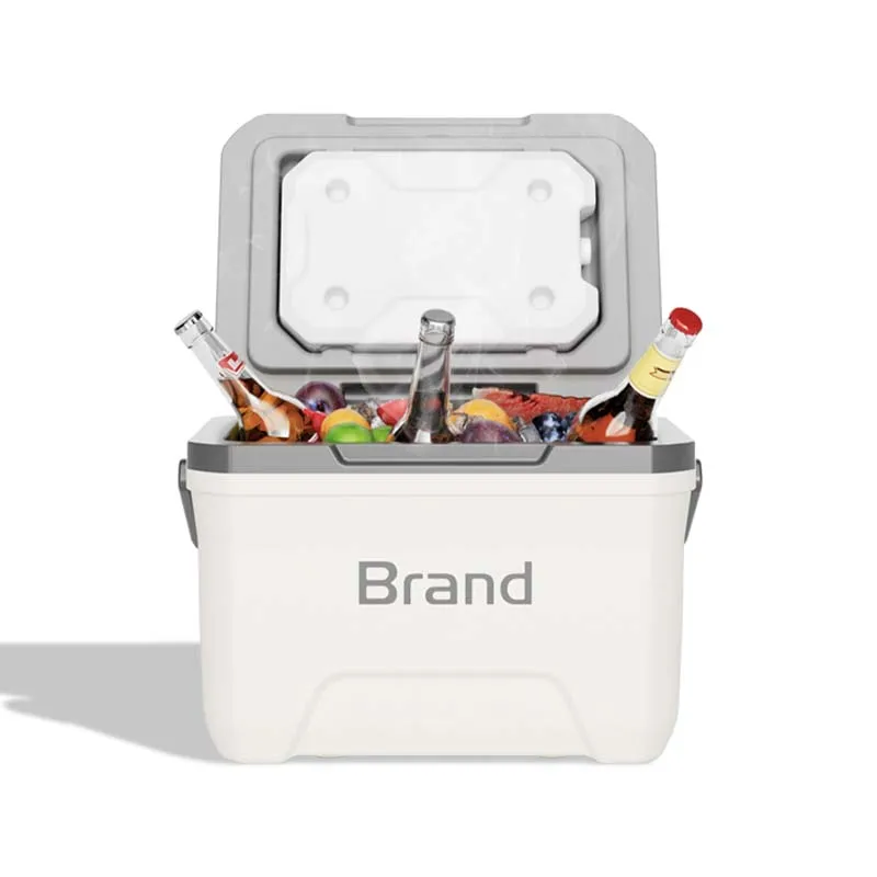 New Arrival mini fridge custom cooler small portable commercial luxurious beer cooler with handle for outdoor camping equipment