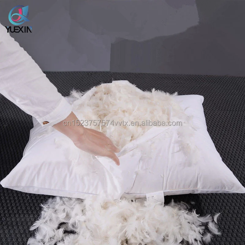 feather pillow 14.jpg