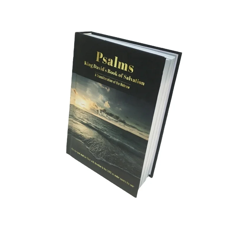 Wholesale Custom Brochure Booklet Novel Journal Planner Printing Books Hardcover Photo Book printing