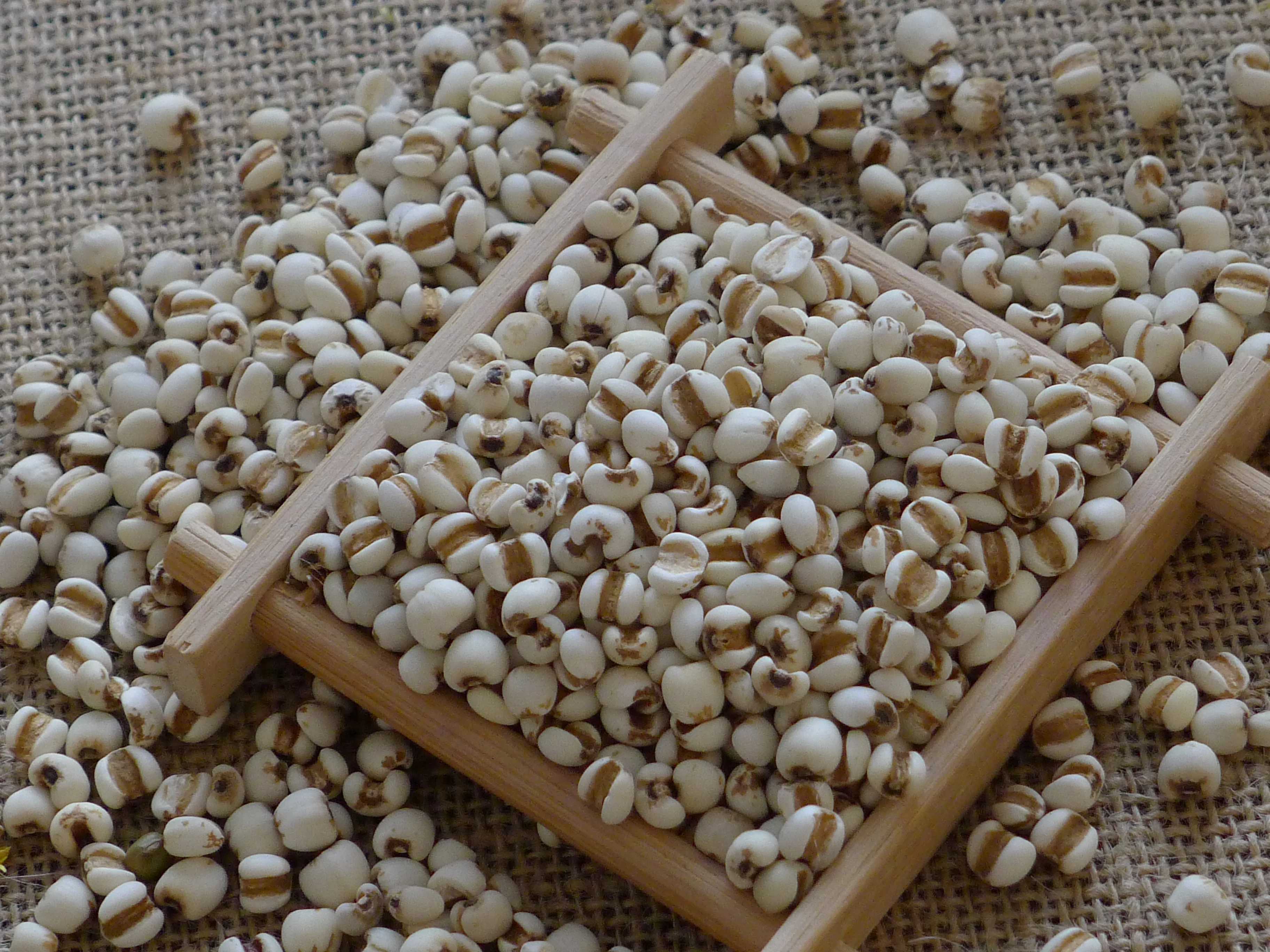 coix seeds