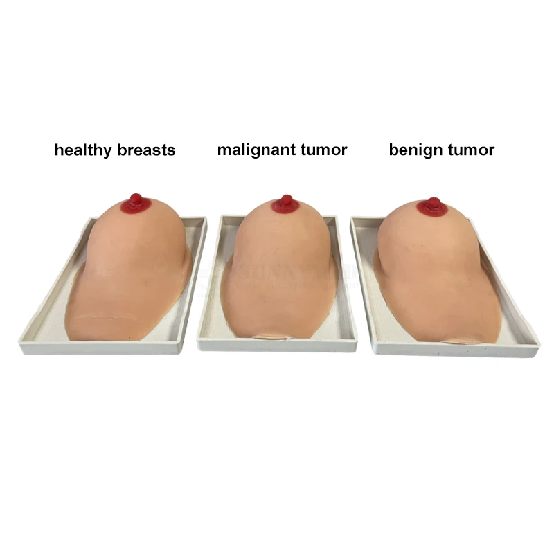 SY-NO7E дешевая модель обследования груди для медицинского образования