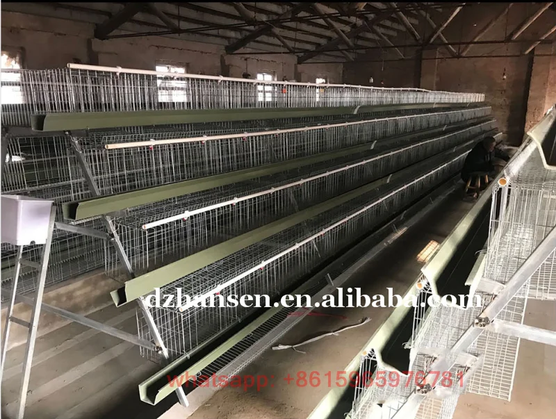 high quality cages chicken battery chicken cage for layer chicken poultry farm in Nigeria