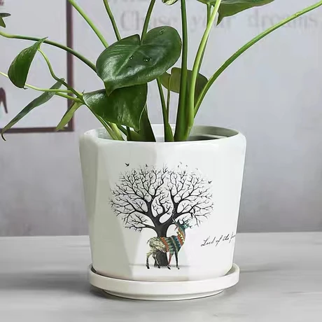 
Ceramic flowerpot Nordic simple style extra-large white tray custom Chinese manufacturers 