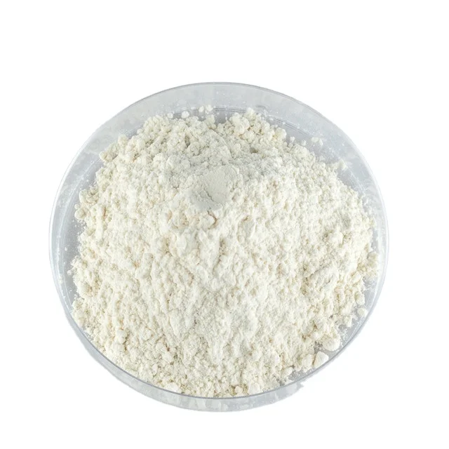
Factory Supply Papaya Fruit Extract Papain Powder 