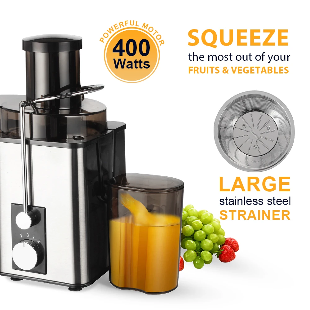 Stainless Steel Housing Electric Juicer Blender and High-quality Juice Extractor OEM Factory With 550ml Juice Cup