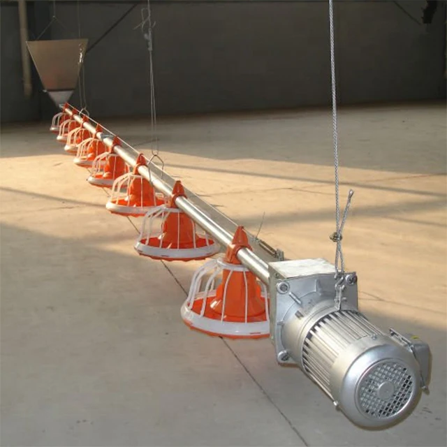 complete poultry project white broiler chicks rearing poultry farm equipment layer chicken