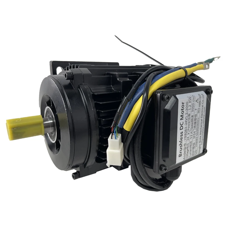 Custom made wholesale 24v 48v brushless motor with controller