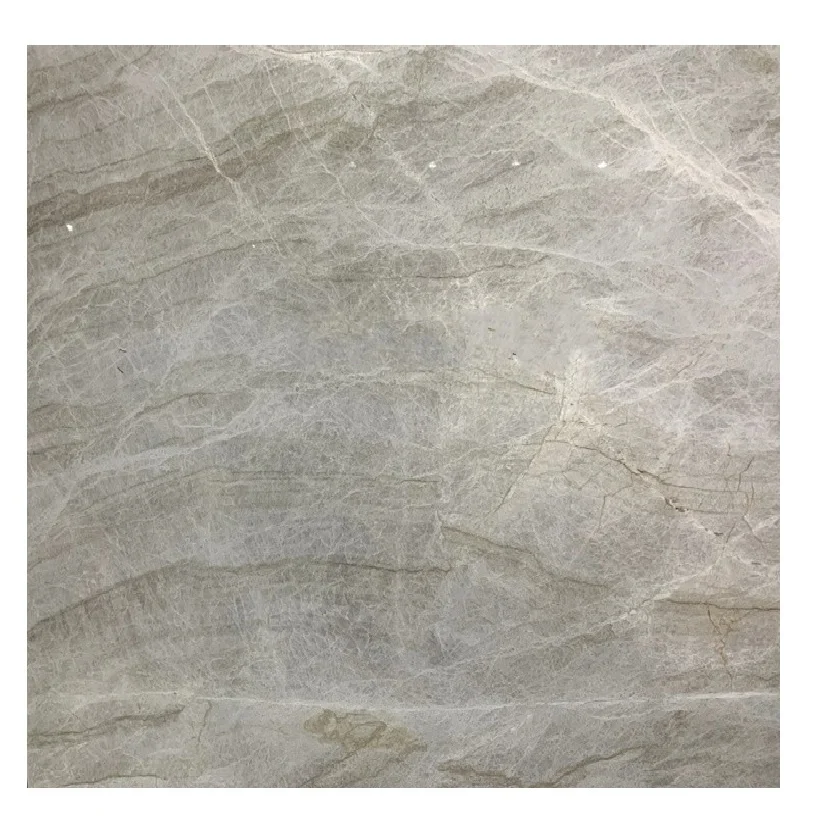 Taj mahal white quartzite exotic slabs for wall background