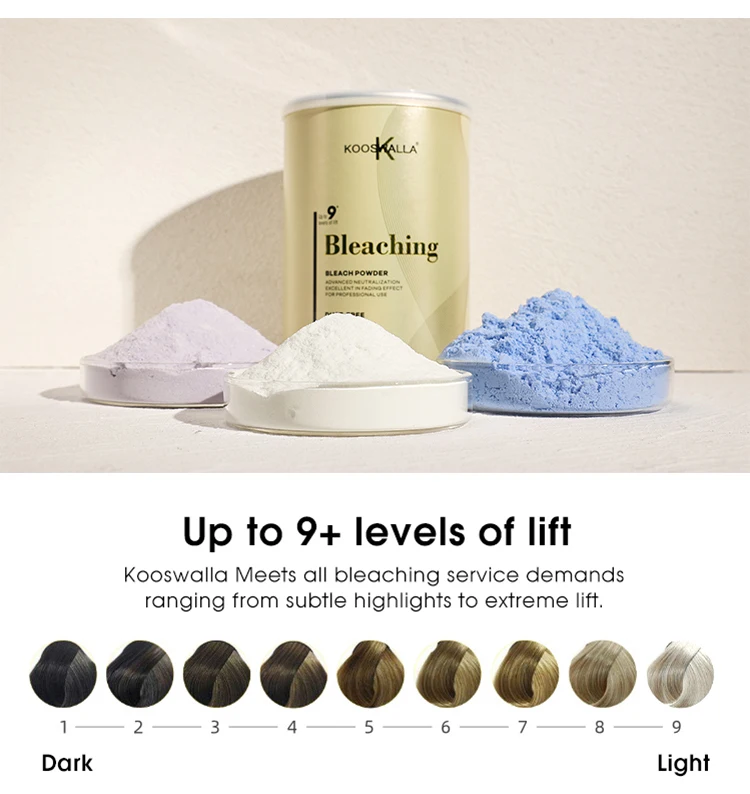 Hot Selling Hair Bleach Powder Customized Up To 9 Professional Gray Lightening Bleaching Powder