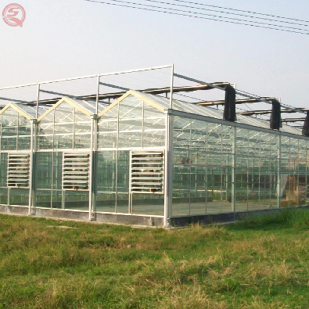  5mm Tempered glass high end agricultural crops and vegetables