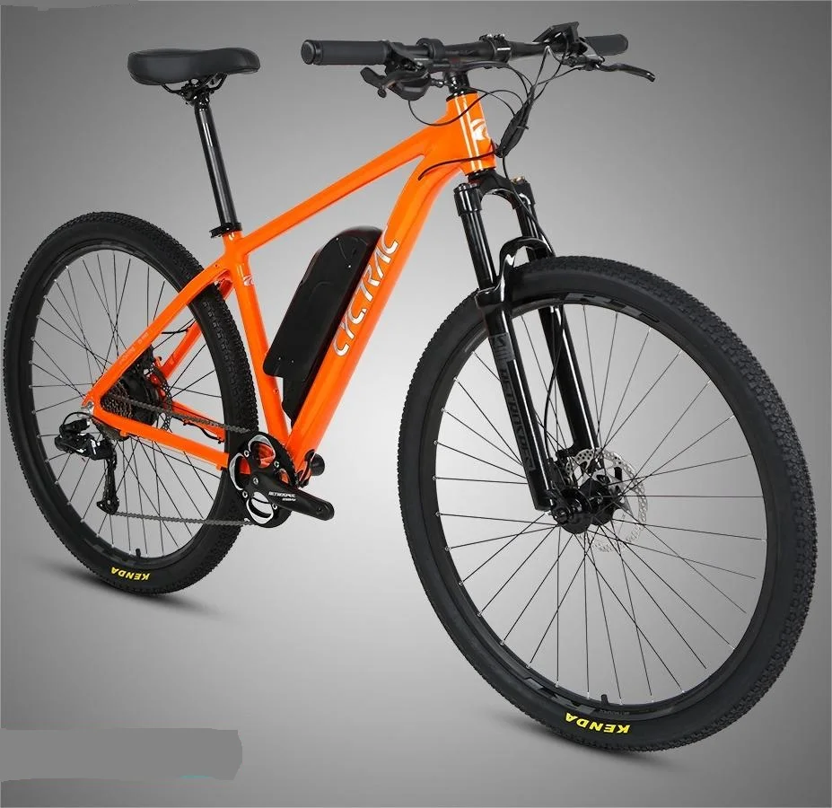 Guangzhou Electric Bike for Adults Aluminum Alloy Frame with Rear Hub Motor 10 Speed Gears Buy Quality Electric Bike in China