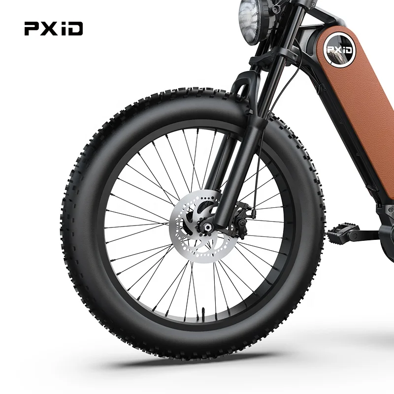 Retail Price New Design MTB E Bicycle Model P5 24 Inch Fat Tire Snow Bike Off Road EU US Popular Electric Bike