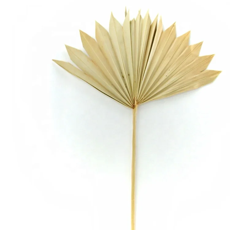 Wholesale dried flowers plam leaves palm poufs spears dried peony flowers dried bouquet of flowers mix