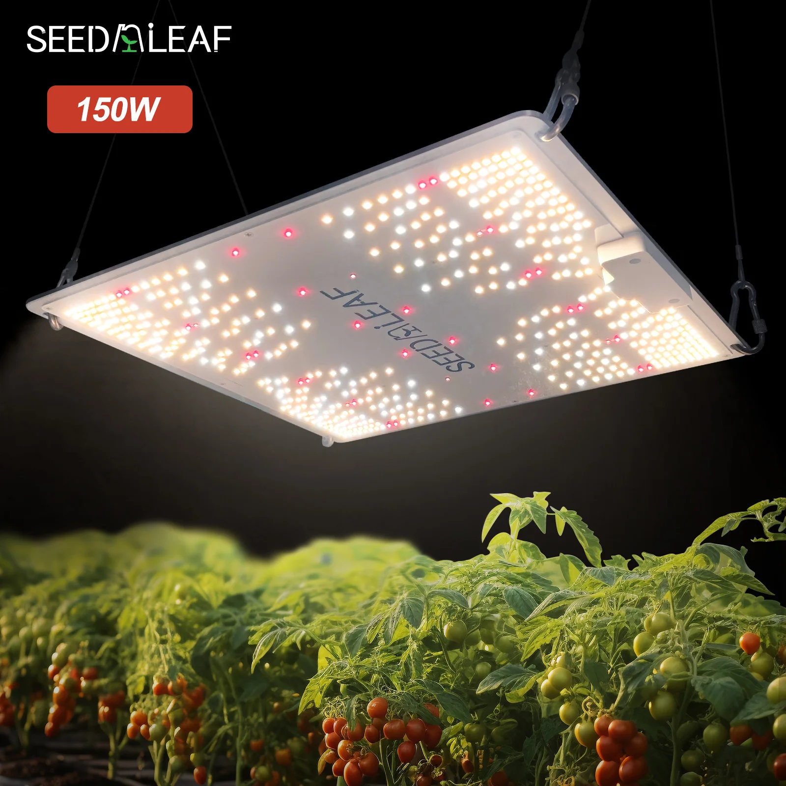 Factory Full Spectrum 150W Greenhouse Horticulture LED Plant Light Indoor LED Grow Light