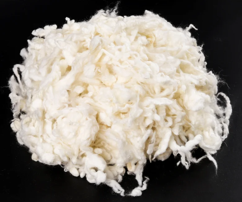 Superfine 18.5mic australia Fine and curly and softCarbonied Wool  for spining yarn ,suits, cardigans, scarves carbonized wool