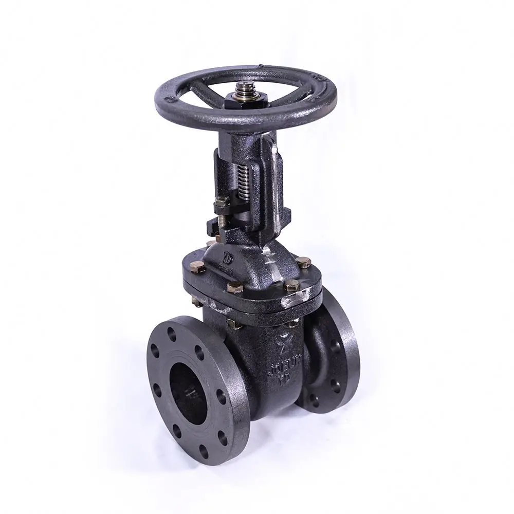  Поставка клапанов затвора DEBIEN PN10 PN16 PN25 Safty Gate Valve по
