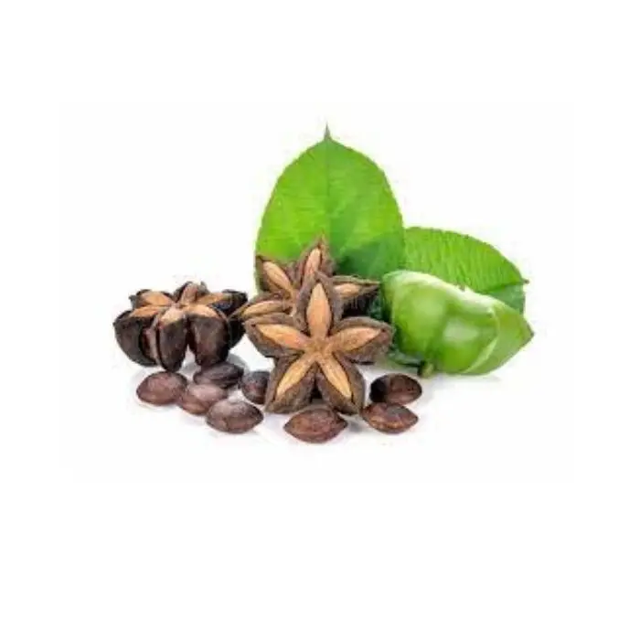 Жареная пена сачи гайка из Вьетнама-масло марки сачи-Хелен + 84 374 288 086