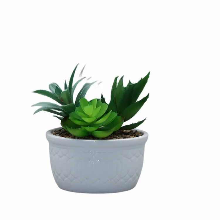 Green Bio Flower 10 Inch Modern White Succulent Ceramic Pot