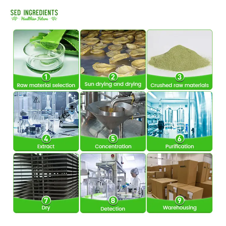Natural Supplement Seed Procyanidine 95% 10:1 Grapeseed Grape Seed Extract Powder OPC